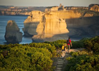 ReiseSprechstunde: Melbourne/Victoria ist nur ein Koala-Nickerchen entfernt!