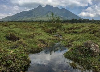Singita eröffnet im August 2019 mit der Kwitonda Lodge erste Lodge in Ruanda