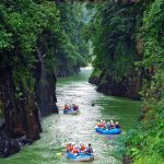 Toms Premium Selection