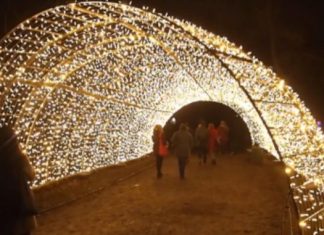 Noch bis zum 7. Januar in den Christmas Garden in Berlin eintauchen!