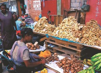 So schmeckt Suriname: Neue kulinarische Routen für Urlauber