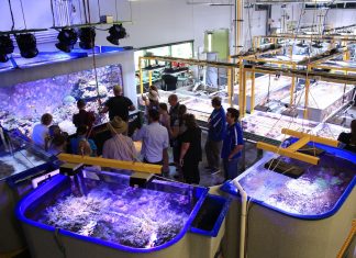 Queensland: Australiens führendes Meeresforschungsinstitut gewährt einen Blick hinter die Kulissen