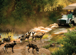 Morukuru Family – „Zuhause bei Freunden“ im Herzen Südafrikas