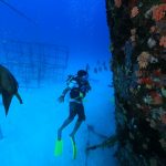 (C) Angsana Ihuru_Rannamaari Tauchgang