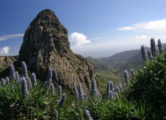 Frühlingserwachen auf La Gomera