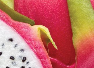 Von Afrika nach Asien und Alaska: Neue Tropen & Exoten Kollektion 2019/2020 von Oceania Cruises buchbar