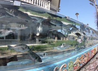 Touristenattraktion in Cesme/Türkei – Villa mit Aquarienmauer