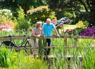 Radreisen: Mit dem Rad von pinken Rhododendren bis zur violetten Heide