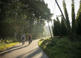 Radeln, wo das Bier wächst – Zur Hopfenblüte in den grünen Norden Oberbayerns
