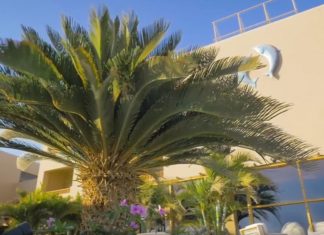 Hotelchef von The Breakers bringt es auf den Punkt: Ägypten mal ganz spritzig!