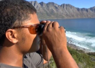 „Shark-Spotter“ kontrollieren zahlreiche Küsten und Strände in Südafrika