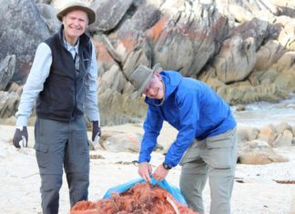 Melbourne & Victoria: Wildlife-Touristen entfernen Geisternetze von Küsten