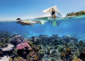 Das Great Barrier Reef erholt sich