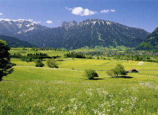 Pfrontener Viehscheid steht in den Startlöchern