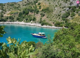 Kuscheln von Korsika bis Karibik – mit Click&Boat