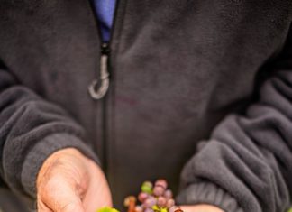 Weinanbaugebiete in Illinois erkunden und auf überraschende Geschmackserfahrungen treffen