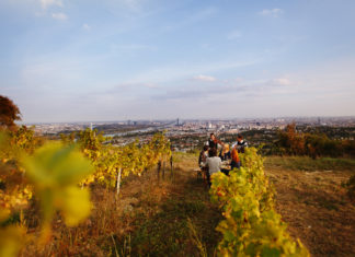 Die besten Insta-Spots in Wien