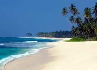 Sri Lanka: Reise stornieren? Wenn ja – Wie?
