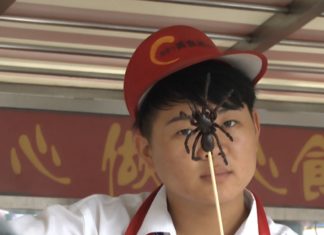 Was man in Peking so alles essen kann!?