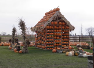 Illinois lädt ein, sich in den Themenlabyrinthen der Farmen zur 200-Jahr-Feier zu verlieren