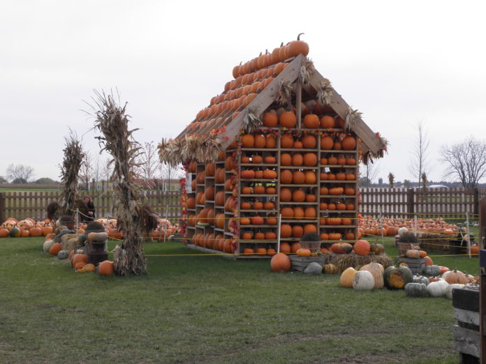 DAS ILLINOIS OFFICE OF TOURISM: