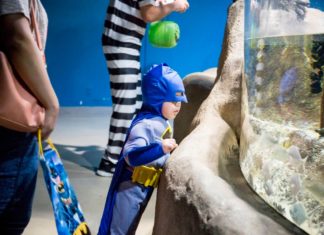 Erlebnisreiches Herbst-Winter-Programm im Virginia Aquarium & Marine Science Center