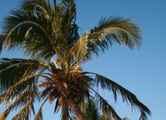 Wo der Sommer weitergeht: Madagaskars schönste Strände