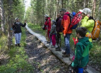 For Family Reisen bietet Erlebnisreisen für Familien