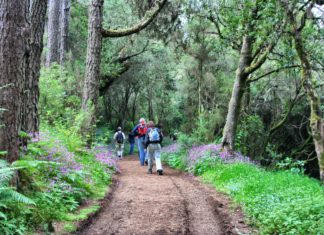 La Gomera mit neuer Strategie für nachhaltigen Tourismus in 2019