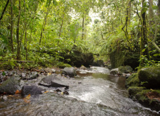 São Tomé und Príncipe – Die beiden Inseln vor Afrika sind ein Paradies für Naturliebhaber