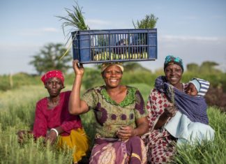 Seit 25 Jahren setzt Singita Maßstäbe in Sachen Nachhaltigkeit und außergewöhnliche Safarierlebnisse