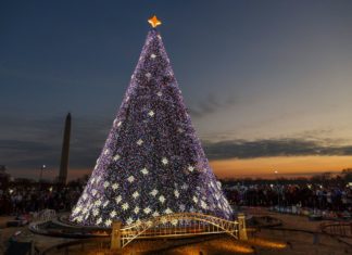 Lichterglanz und Schottentanz: Vielfältige Weihnachts-Events in und um Washington, DC