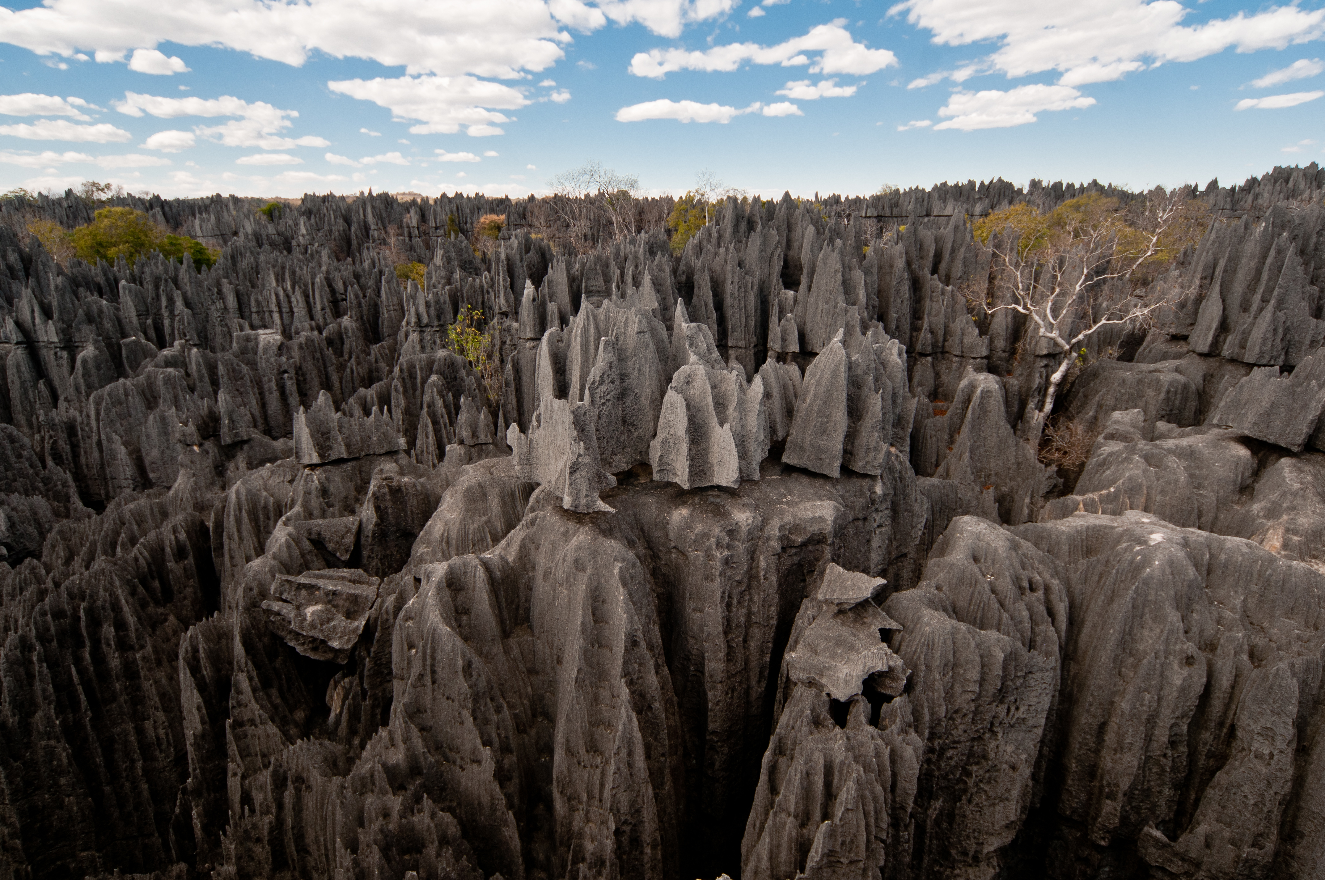 Каменный лес» цинги-де-бемараха. Цинжи-дю-бемараха мадагаскар. Цинги-де-бемараха каменный лес на мадагаскаре. Заповедник цинжи-дю-бемараха. Заповедник цинги-де-бемараха.