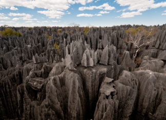 Auf Entdeckungstour an Madagaskars Westküste