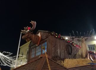 Witzig! Singendes Rentier auf Bristoler Weihnachtsmarkt