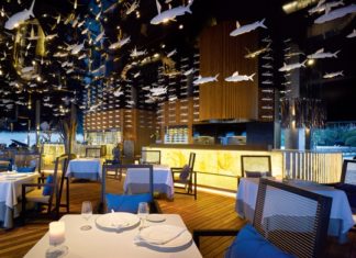 Resortinsel: Exklusiver Wein-Genuss auf Velaa Private Island