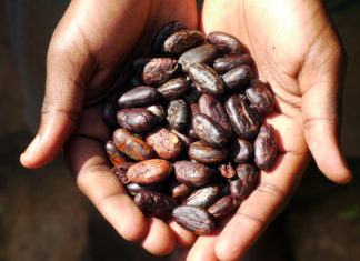 Schokolade made in Uganda