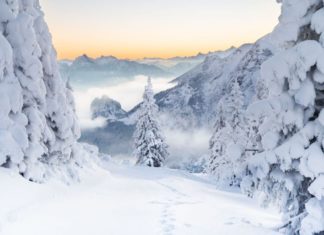 Für einen aktiven Start ins neue Jahr: Die Pfrontener „Woche der guten Vorsätze“