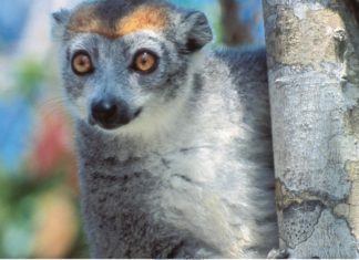 Inselträume für die kalte Jahreszeit