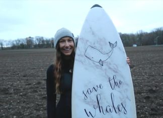 Dominikanische Republik: Walflüstererin 2019 steht fest!