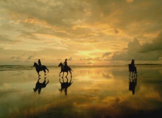 Karibik oder Pazifik? Costa Ricas Traumstrände