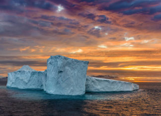Grönland erleben mit der HANSEATIC nature: Expeditionen jenseits des Nordpolarkreises