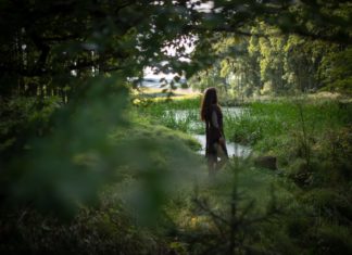 Grüne Heilkraft nutzen und beim Waldbaden zur Ruhe kommen