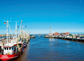 Campingplatz am Nordseestrand punktet bei Zwei- und Vierbeinern