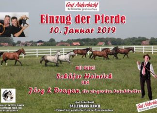 Gut Aiderbichl – Ballermann Ranch: Die Pferde kommen!