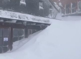 Botschaft aus dem Schneesturm: EINGESCHNEIT!