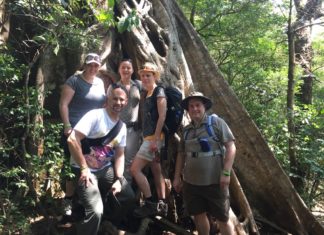 Singlereisen – Zahl der Singles über 40 nimmt stetig zu