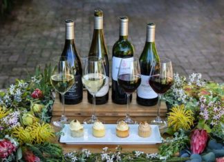 Stellenbosch: Mit dem E-Bike zur Weinverköstigung