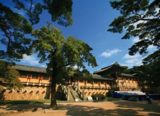 Gebeco macht Nordkorea Reise buchbar Auf denselben Schienen reisen wie Kim Jong-un