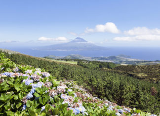 Die Azoren – Das europäische Hawaii